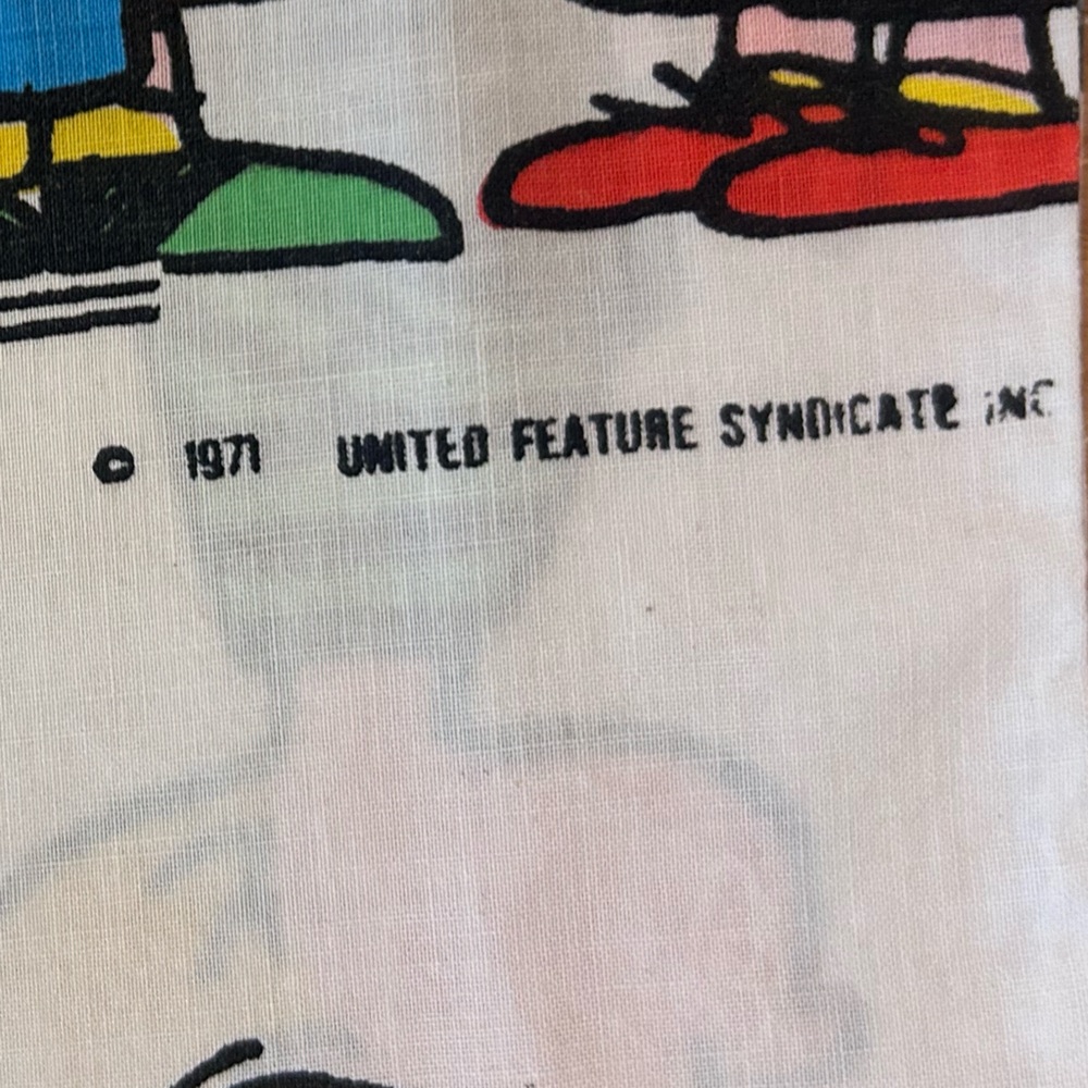 70’s Peanuts Charlie Brown Pillow case - Picture 5 of 5